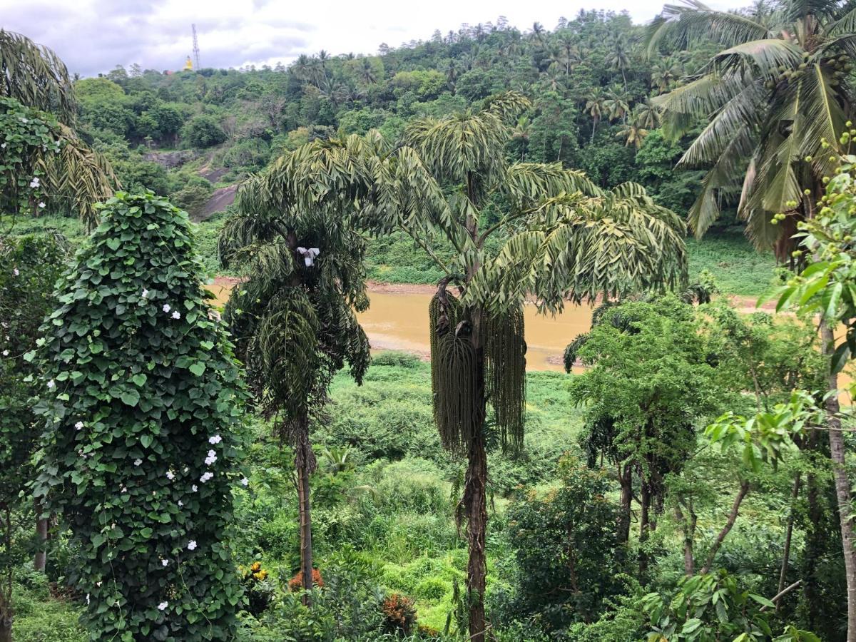 Kandy Rivers Edge Nature Resort Exteriér fotografie