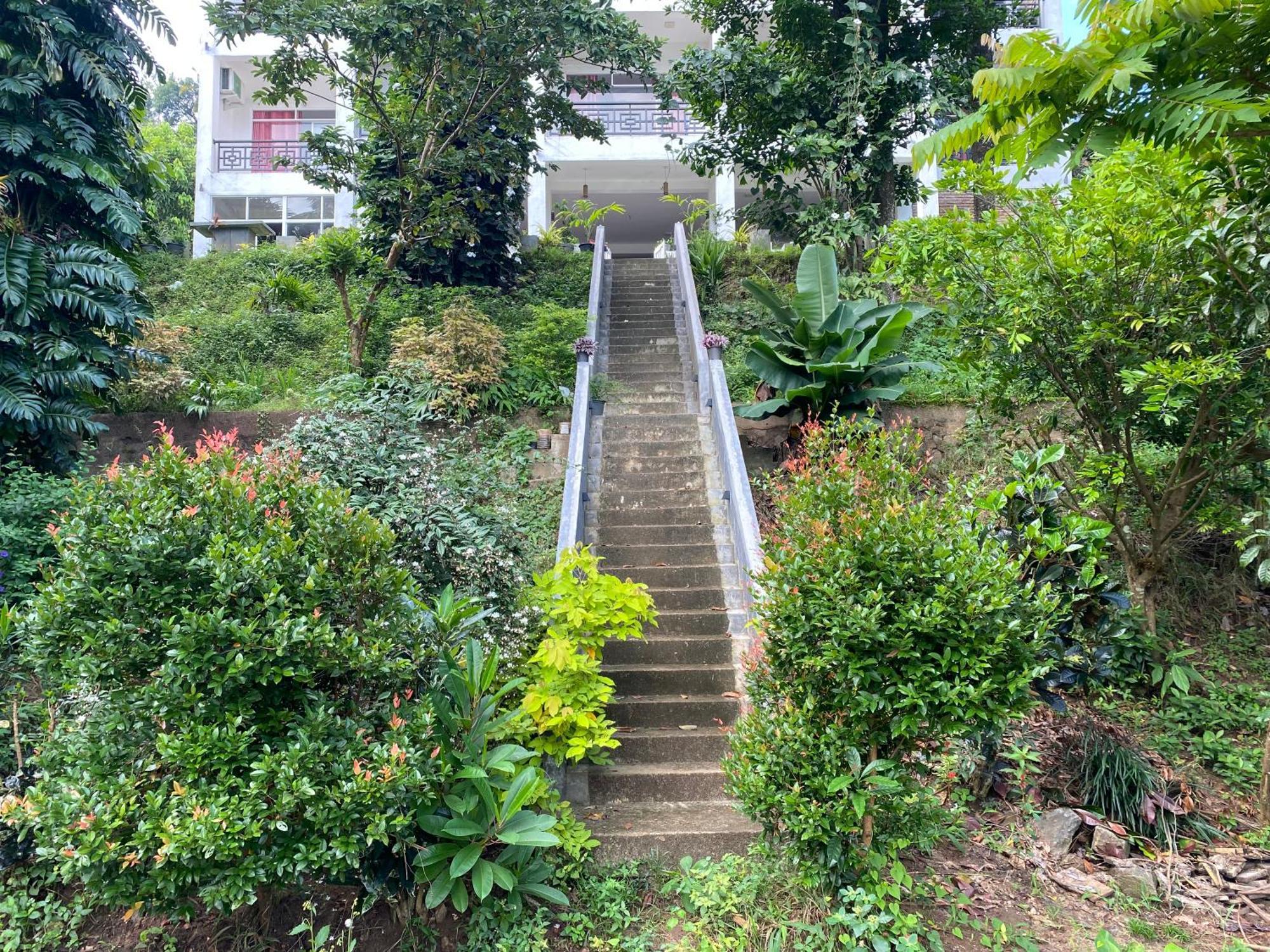Kandy Rivers Edge Nature Resort Exteriér fotografie