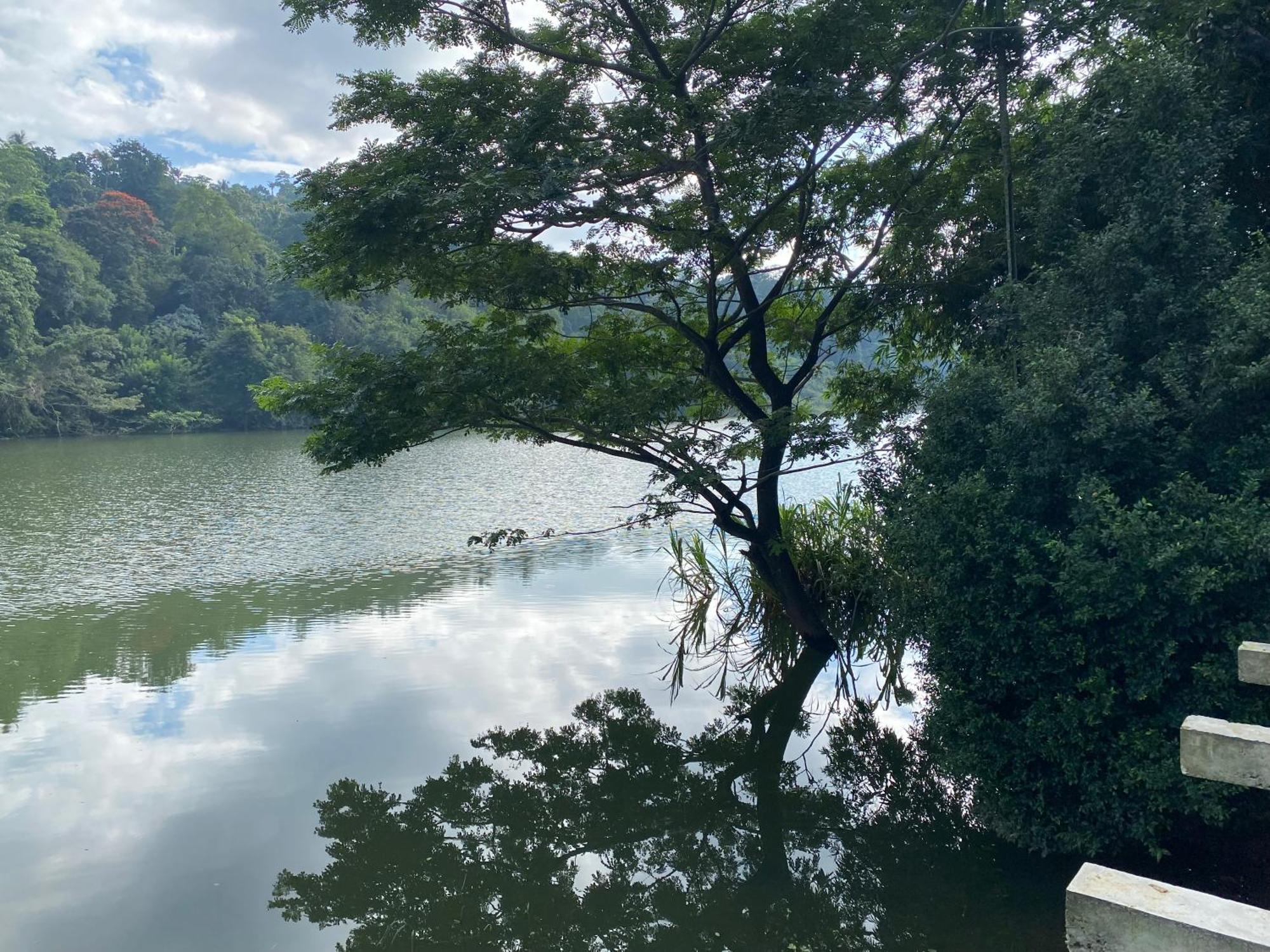 Kandy Rivers Edge Nature Resort Exteriér fotografie