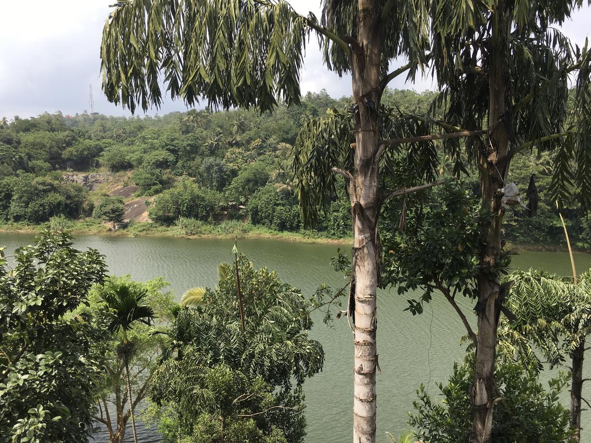 Kandy Rivers Edge Nature Resort Exteriér fotografie